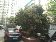 ITC旁,附带一个大院子,朝南向,户型方正