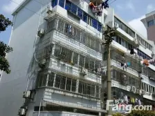 北蔡·白杨小区-白杨路1065弄·1室·1厅