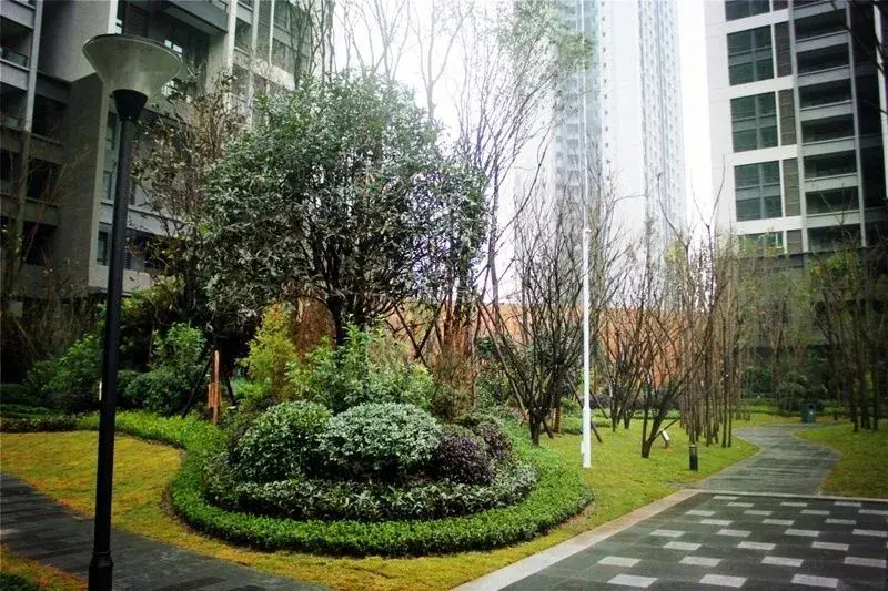 小区绿化美美的,手机拍实景