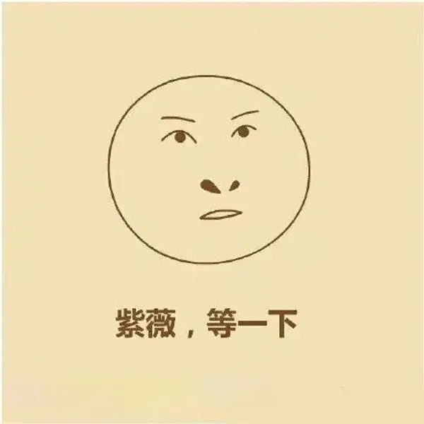 教你画一只尔康