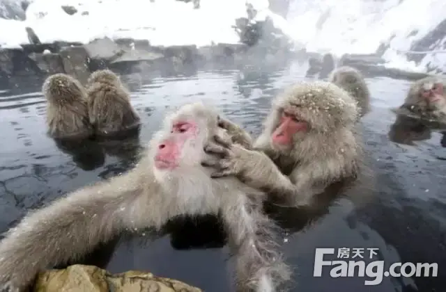 2016春节到来前 吉林市将发生的大事件