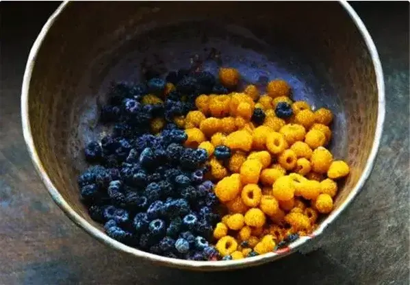 只能音译当地的叫法,陀泡儿(tuo pai 二声,一声)分黄泡和黑泡