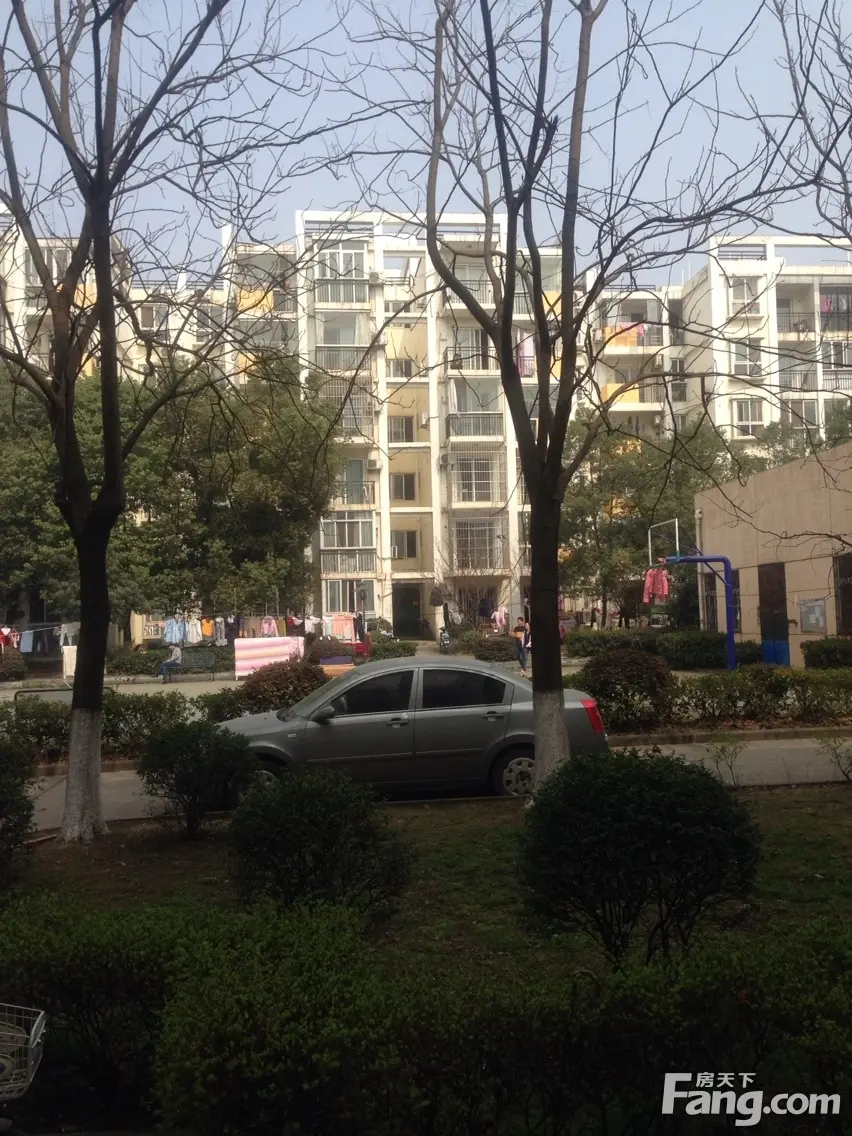 武汉free阁调怎么样查房价看房价走势决定在哪儿买