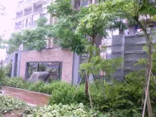 近嘉庚体育馆 楼层好户型好 配套齐全