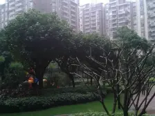 明日华府 5室2厅 南