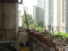 大坪 单巷子三房60万