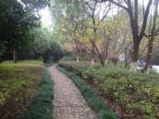 高行·幸福小镇-公寓·3室·2厅,南北通