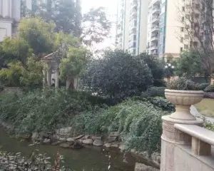 恒大名都 3室1厅 东南