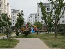 虎北花园 电梯两房 南北通透 户型方正 采光全年无遮挡