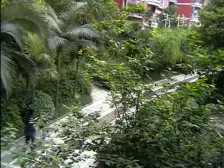 南坪 青青佳苑北苑一房70万