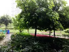 精装两房,楼层好 ,住家安静,业主诚心出售