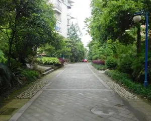 蓝山美树 3室2厅 西