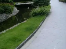 两岸猿声啼不住 这套精装三室还得您来住