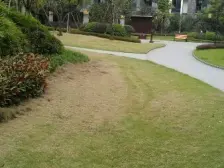 清水房 朝南 视野开阔 无遮挡