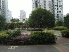 佣金3666元 巴国城 广田巴国绿云四房85万