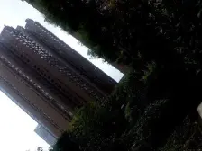 谢家湾 万象城 谢家湾 万象城 精装修两房 采光通风好