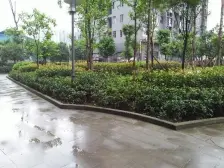 巴国城 广田巴国绿云三房