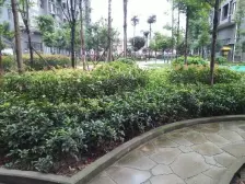 当清水房买 巴国绿云 58平2居 南向简装修 着急出售