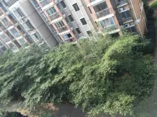 万达华府景园 南北通透,采光好 装修好,环镜优美 近地铁 中间楼层