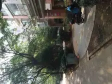 电梯房 南北通透户型 双阳台 全天阳光 自住装修