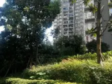 杨公桥 俊峰龙凤云洲二房65万