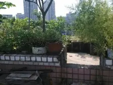 沙坪坝天星桥 市政公园旁康源小区 正规大三房 朝向好