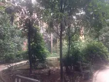 模范村4房精装修 双轨道加持 顶楼带屋顶花园朝向佳