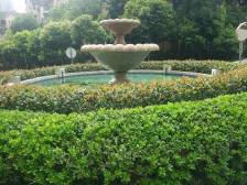 此新品质小区 业主诚心卖 自带家电家具