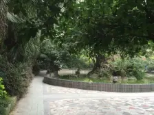 小龙坎 黄桷园(沙坪坝)二房75万