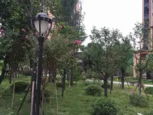 西苑六号 2室1厅 东南