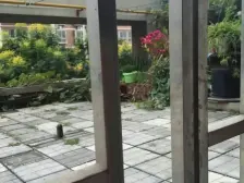 地-铁-口!小高层双气2居!南北双阳台!免双税