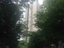 保利品质朝中庭住家安静,户型方正采光良好 业主诚售