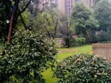 华润二十四城一期 1室0厅 东南