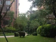 龙湖二组团八成新住家精装洋房+U城天街轻轨+诚心出售