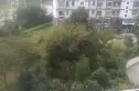 双和园实景图
