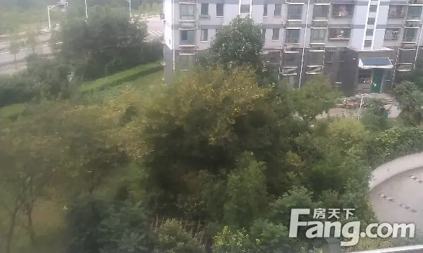 双和园实景图