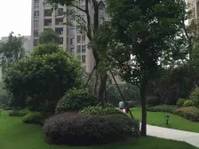 金科廊桥水乡D区 4室1厅 南