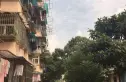 龙福花园实景图