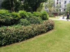 晋愉融府 3室2厅 南