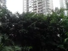 区府 顺祥壹街A区一房46万