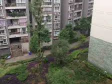 天佑山水国际 2室2厅 南