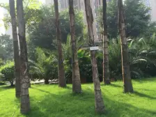 融汇玫瑰公馆精装4房,住家安静,生活方便,交通便利