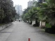 佣金3666元 龙洲湾 明华龙洲半岛三房65万