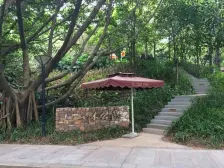 鼎峰尚境边位别墅 大花园 花园约250平 看房随时可看