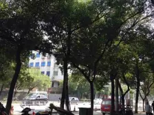 江铃梨园小区 带电梯的三房 高楼层