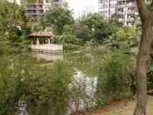 龙洲湾巴滨路上看江精装3房,价格可谈