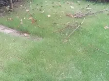 次新洋房,顶跃户型,2+1户型,顶楼露台,采光好