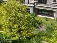 纯别墅区联排,带花园多露台,户型好,采光好