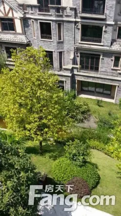 金科廊桥水乡别墅实景图