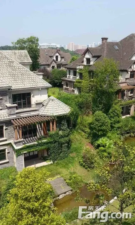 实景图